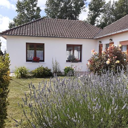 Studio Du Gite Wavrans-sur-l'Aa Bagian luar foto