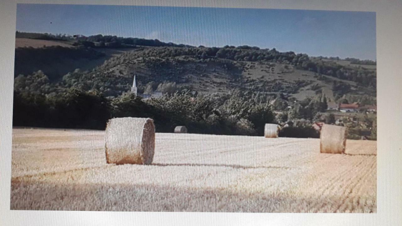 Studio Du Gite Wavrans-sur-l'Aa Bagian luar foto